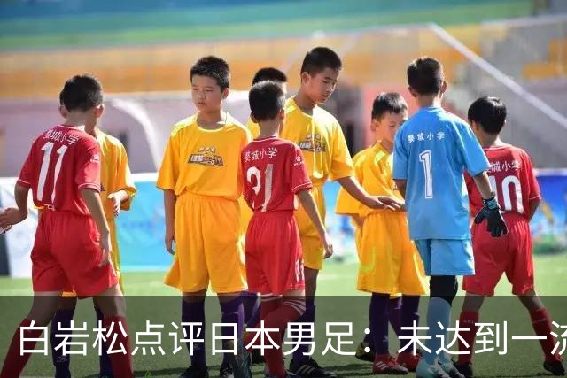 白岩松点评日本男足：未达到一流强队标准，仍需克服对荷兰的恐惧